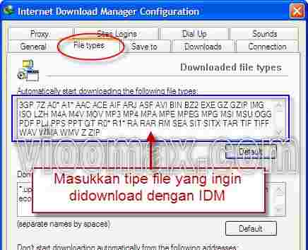 Pengaturan jenis file yang akan didownload IDM