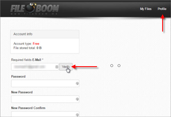 This step is to verify the e-mail used for the Fileboom list