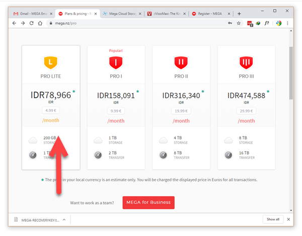 Pick Mega.nz plan type