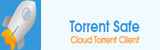 TorrentSafe Logo